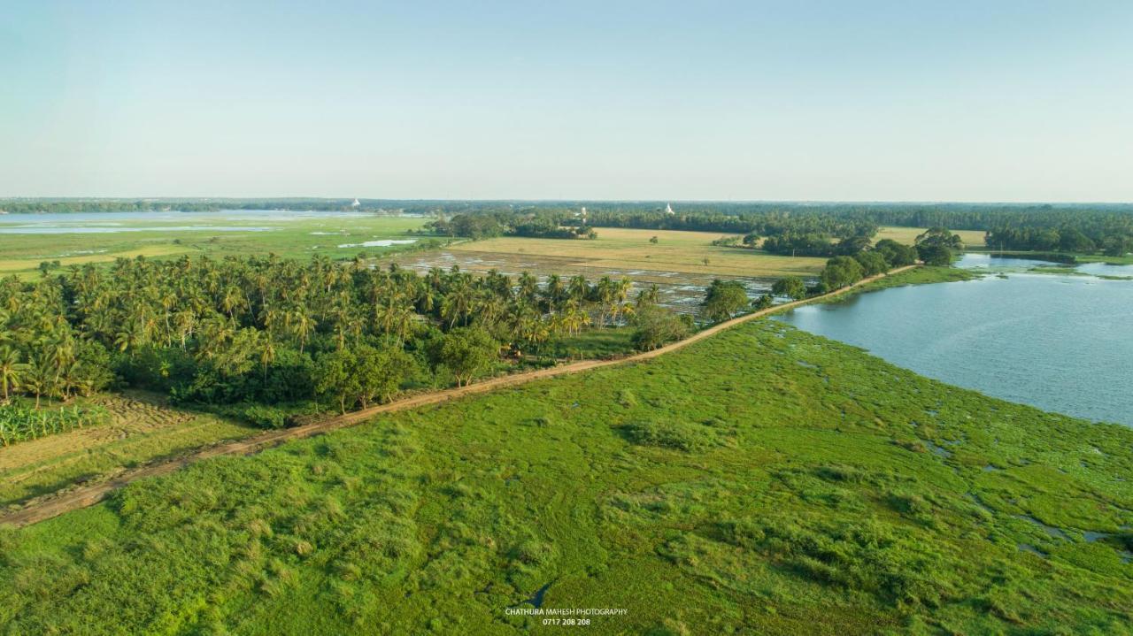 Dearly Holiday Home And Safari Tissamaharama Exterior foto