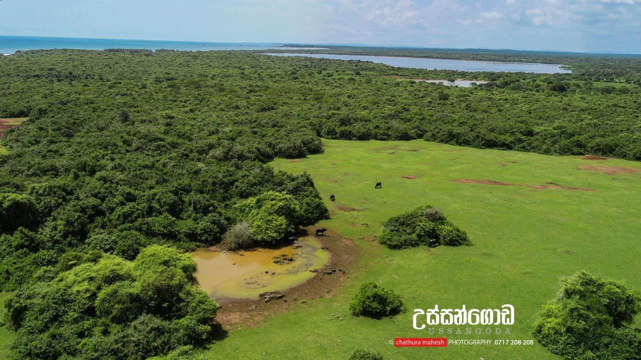 Dearly Holiday Home And Safari Tissamaharama Exterior foto