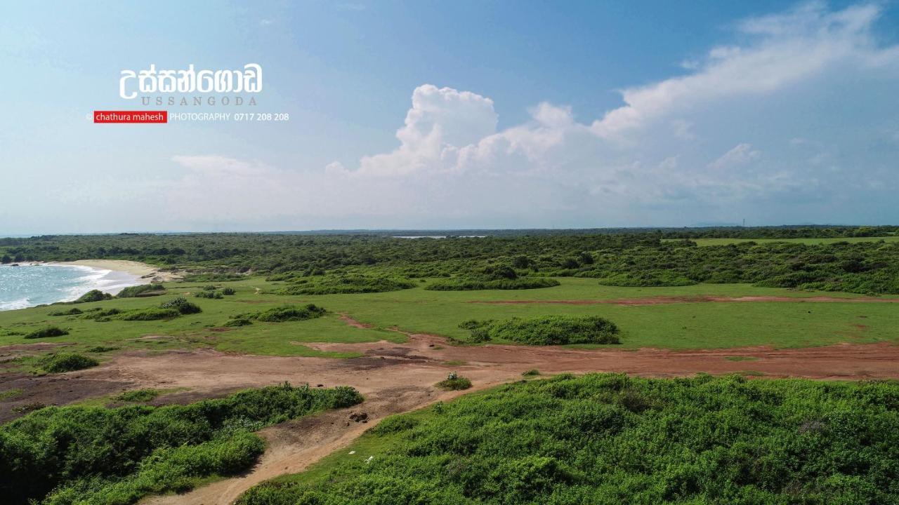 Dearly Holiday Home And Safari Tissamaharama Exterior foto